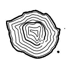 Ideal measurement with 100% visibility